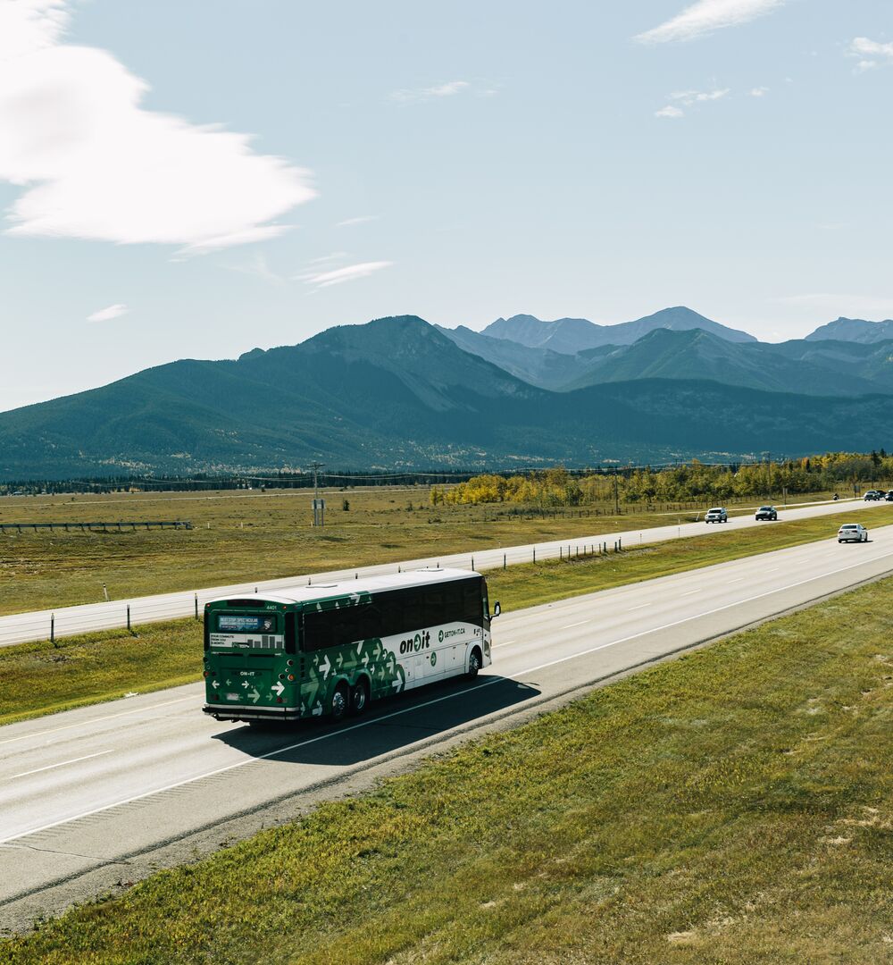 Transport Operators Directory